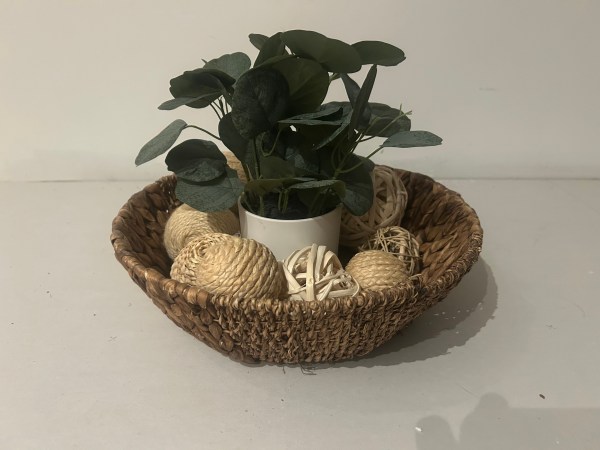 Decoarative Tabletop Plant and Bowl